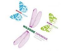 Wildside Experience gets an updated identity